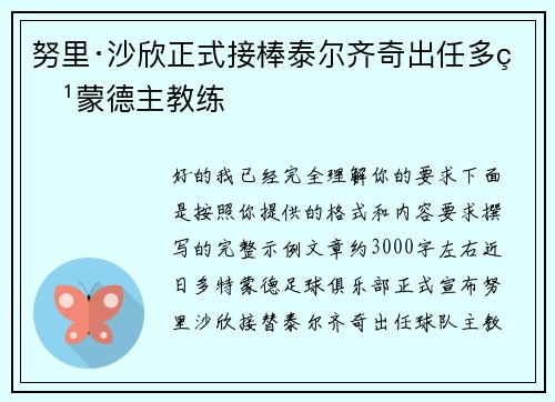 努里·沙欣正式接棒泰尔齐奇出任多特蒙德主教练